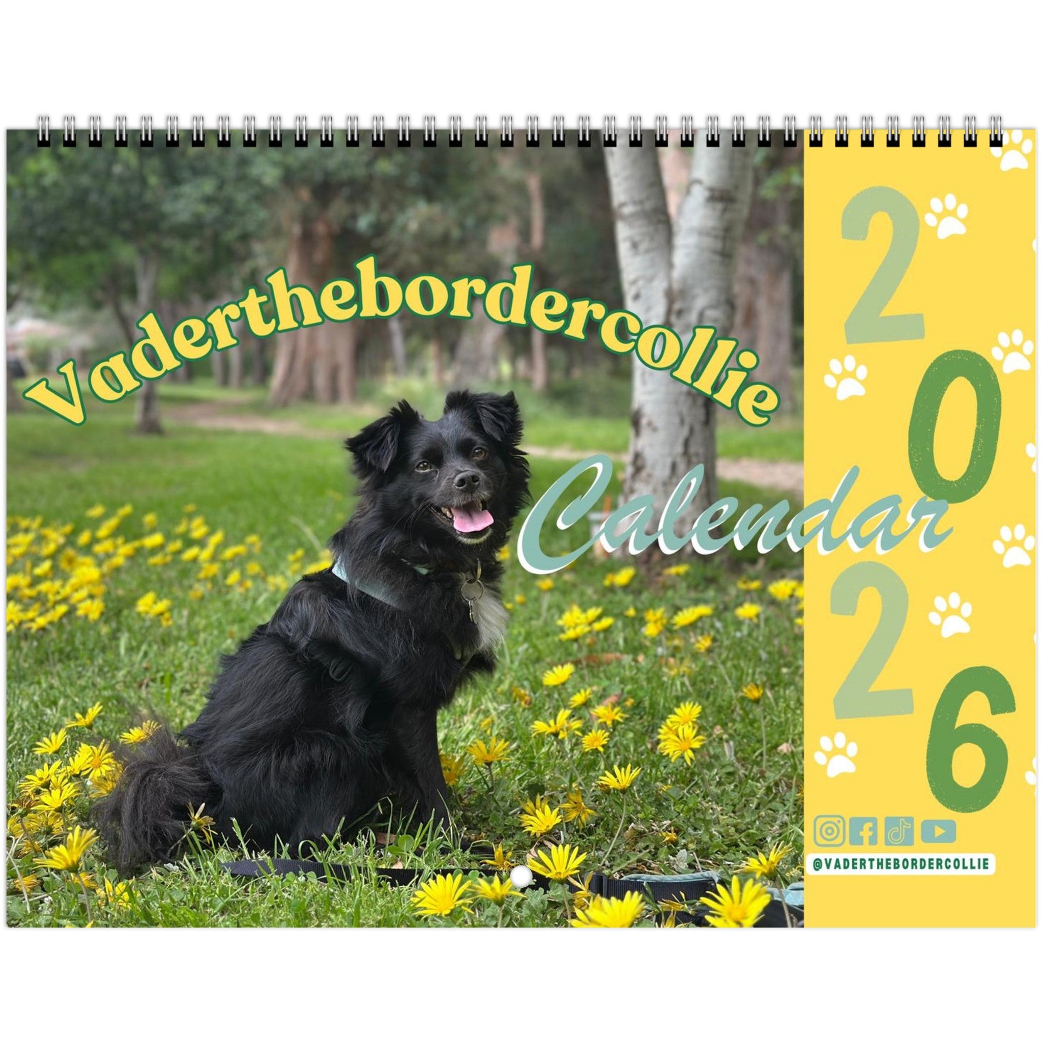 f7a2dda2-e718-4e6e-8492-341955a6bd3e